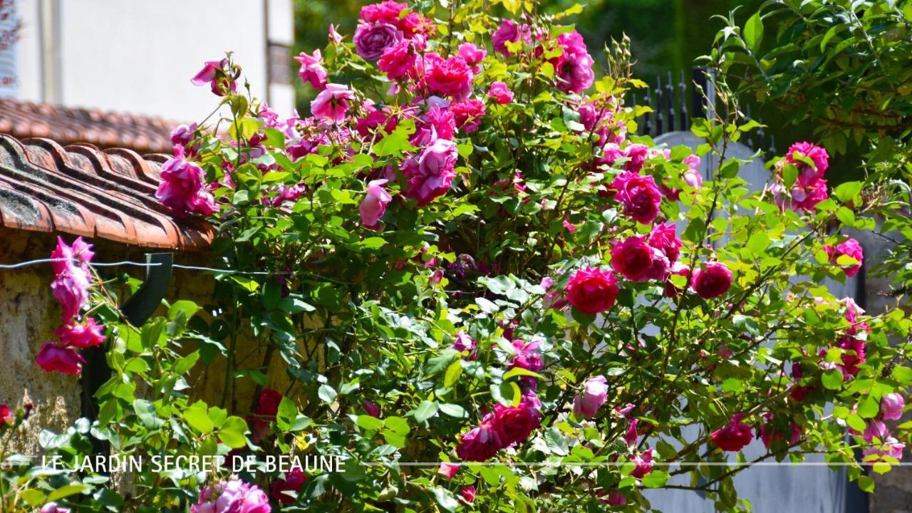 Le Jardin Secret De Beaune Beaune  Exteriör bild